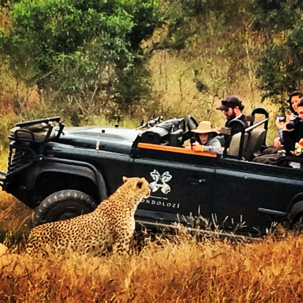 Getting close to the "locals" at Sabi Sands Game Reserve