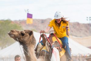 Northern Territory: The Nature of Expectation