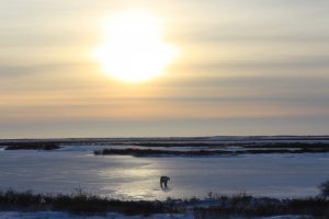 Quietness hung in the air and the only sound as he left was him crunching through the snow.