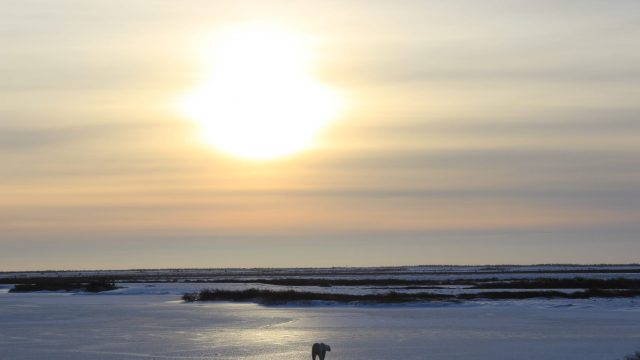 Quietness hung in the air and the only sound as he left was him crunching through the snow.