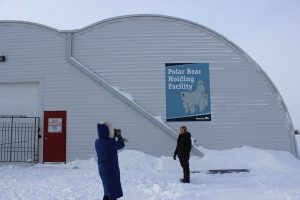 The Polar Bear Holding Facility. Humans cannot enter, as the goal is to keep the bears from becoming desensitized to human interaction.