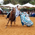 A Paso Horse dancing with a female folk dancer