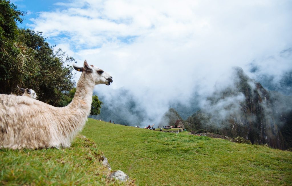 Huayna Picchu, Peru (Credit: Colin Roohan)