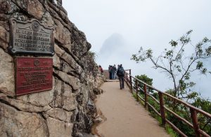 These iconic llamas please the visitors almost as much as Machu Picchu does