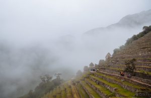 The lush vegetation can be attributed to the humid atmosphere in The Machu Picchu Complex