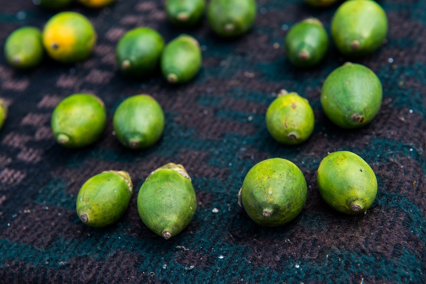 The ubiquitous – and notorious – betel nut. Betel nut is often chewed with lime in Papua New Guinea, and produces a red residue called buai pekpek, a common sight on streets floors everywhere (save for Port Moresby, where the chewing of betel nut is banned).