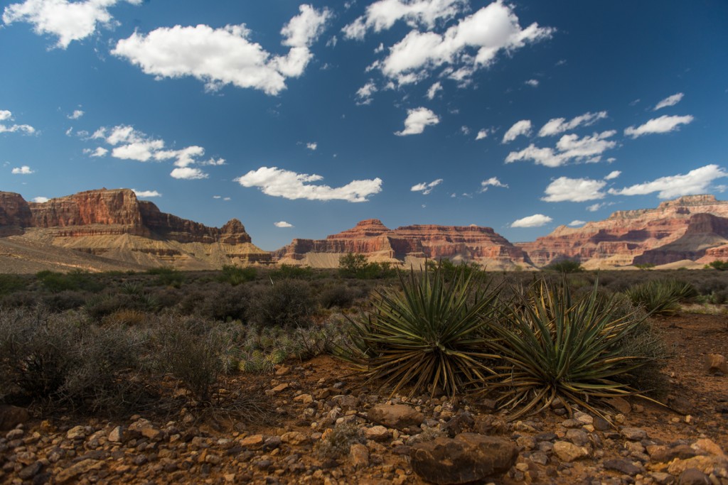 Go Ahead U.S. National Parks Tour (credit: Flash Parker)