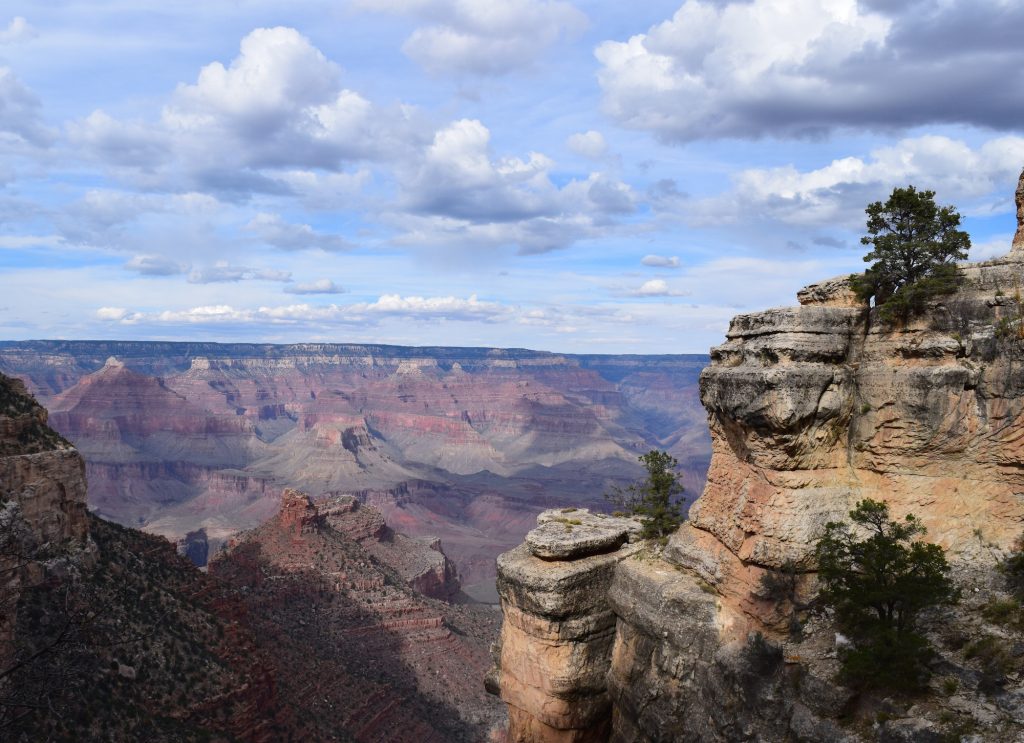 Grand Canyon View by Megan Murphy