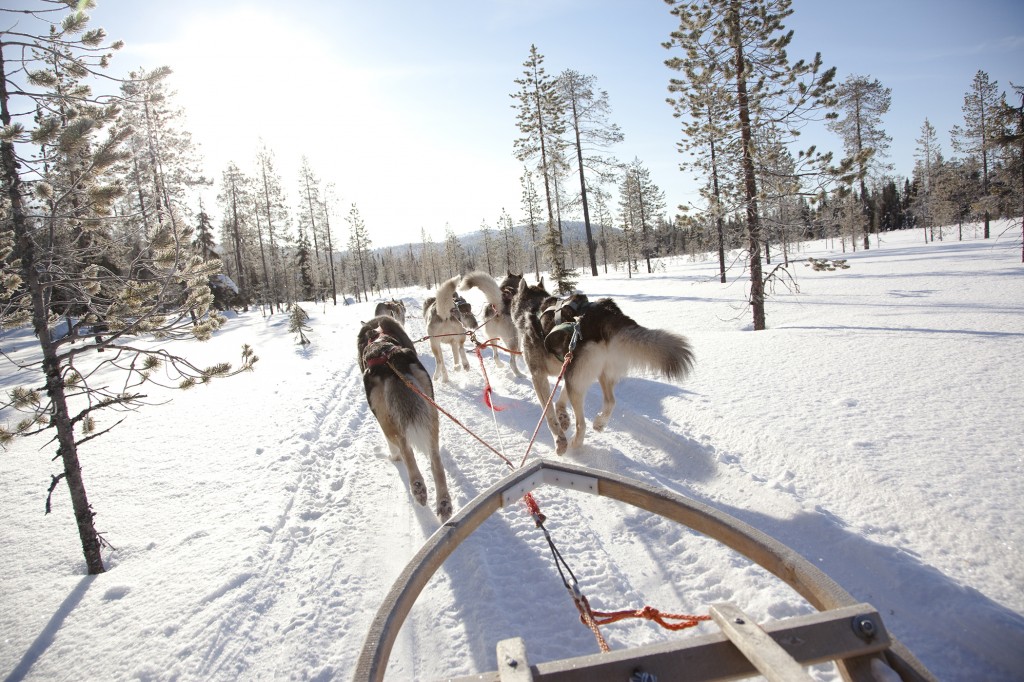 Alexander + Roberts Finland’s Lapland – Winter Adventures in the Arctic Circle