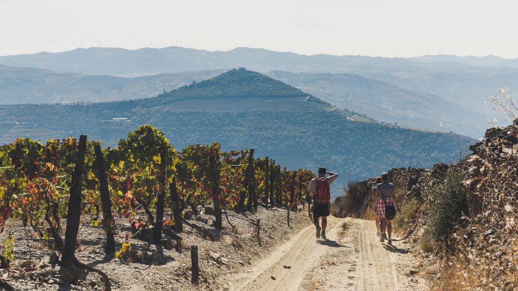 Portugal - Douro (2)