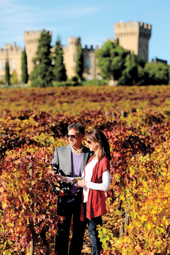 Fall-Vineyard_ChateauPape-de-Neuf