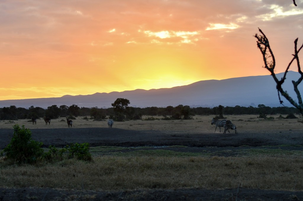 2. Spectacular sunrise over Mount Kenya in Ol Pejeta