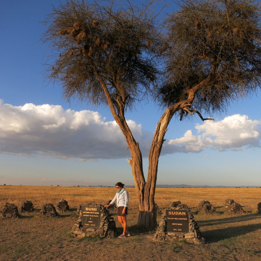 3. Taking a moment to reflect upon Kenya's beloved Northern white rhinos who have recently passed