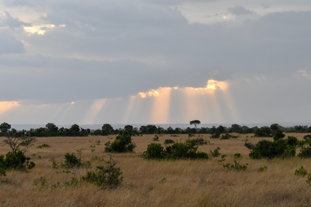 9. Glorious sunbeams peeking out from an overcast sky