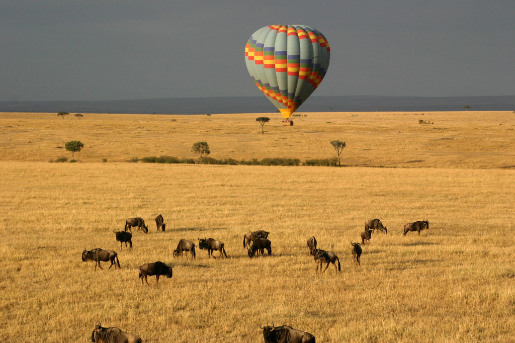 Masai Mara_ Credit_shutterstock_41651095