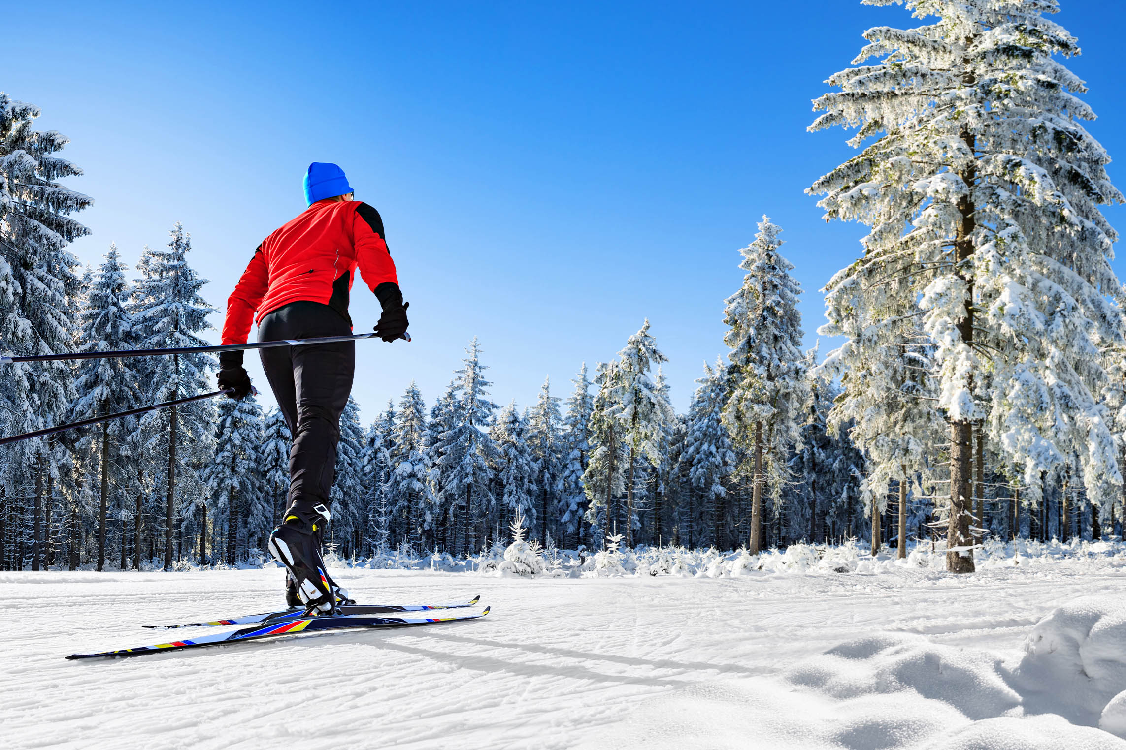 Finland-Cross-country-skiing