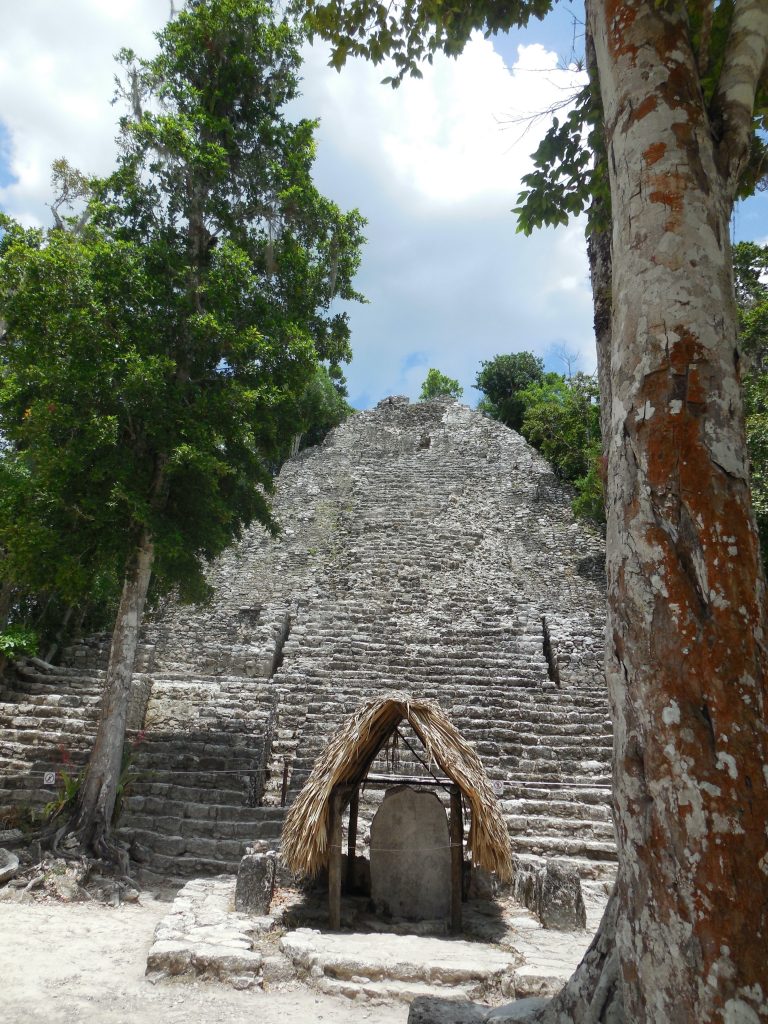 Protecting ancient corn and building up sustainably in the heart of the  Yucatan peninsula, Mexico