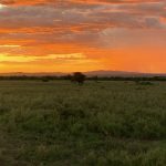 Serengeti Sunset