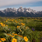 YellowstoneToYukon_tetons_NPS