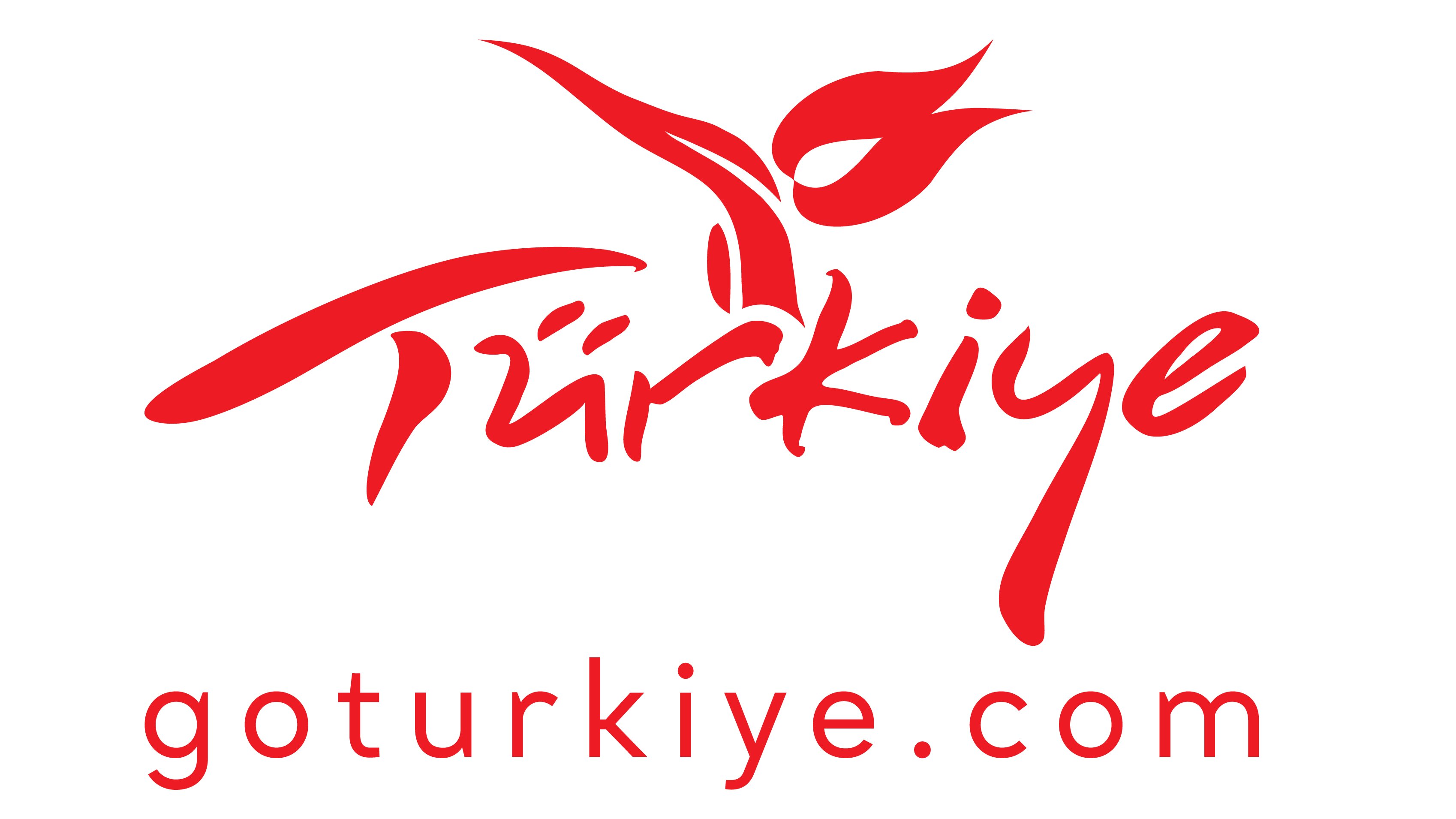 goturkiye logo