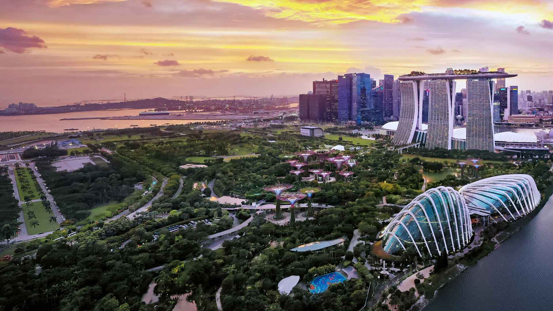 Travel Advisor Resources