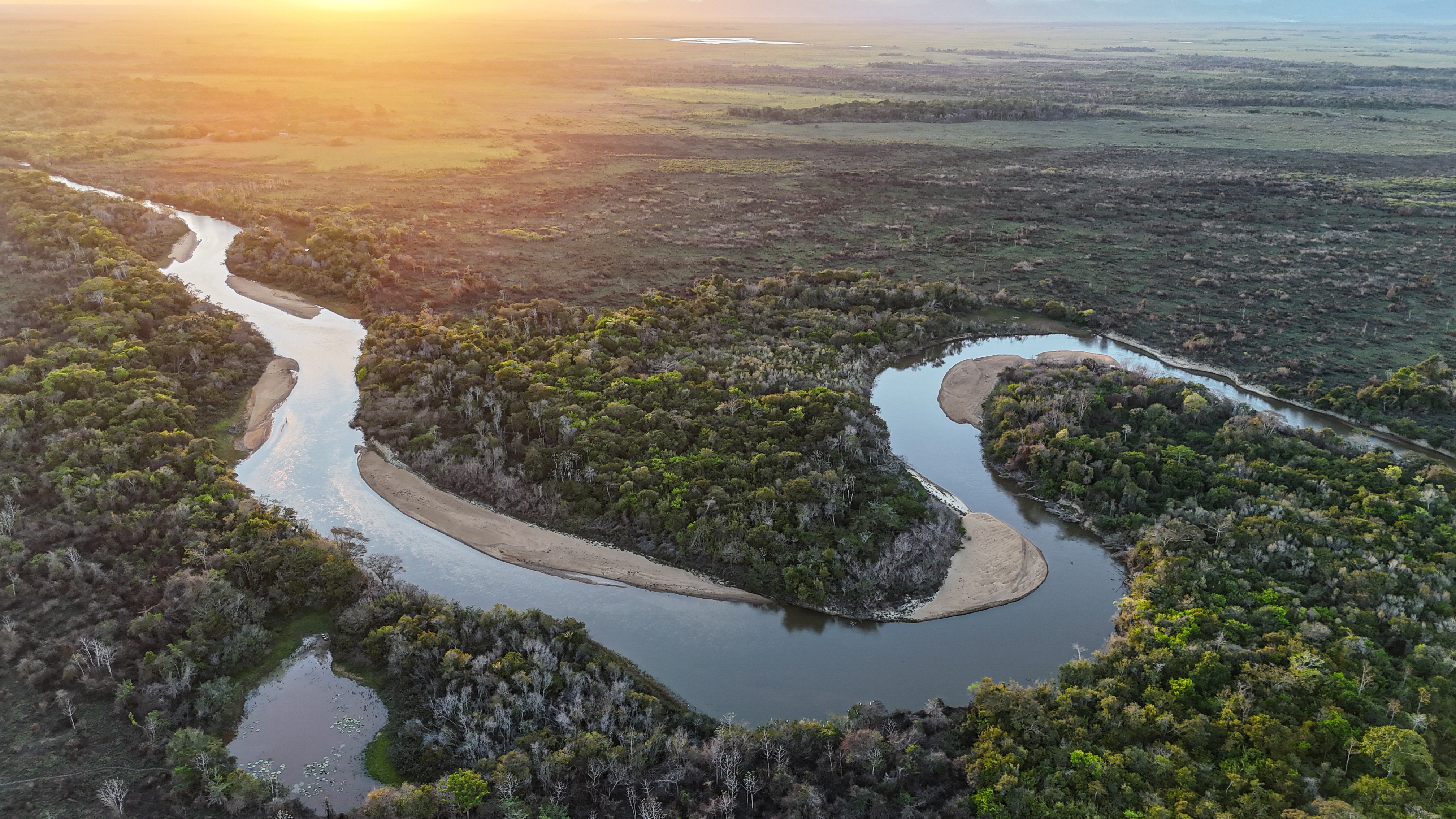 winding rupununi river - &copy; david digregorio