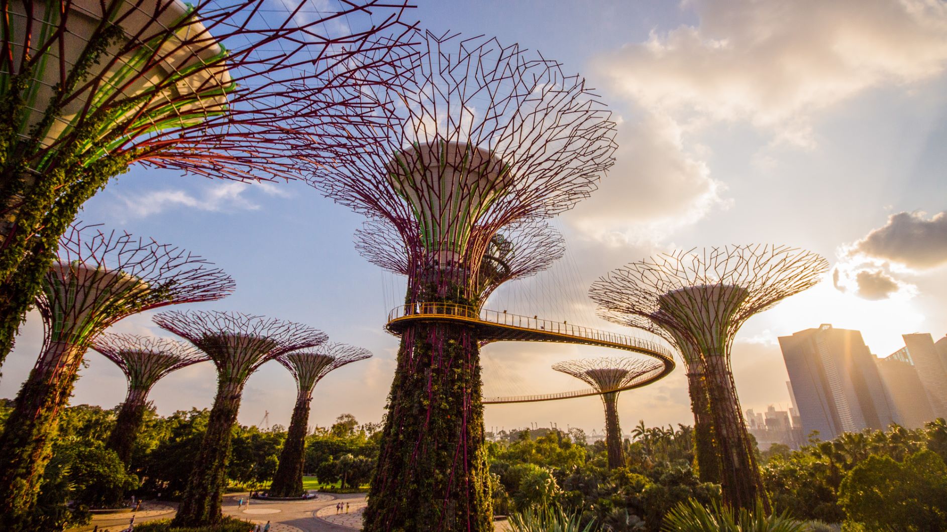 gardens by the bay skyway & supertrees - credit gardens by the bay